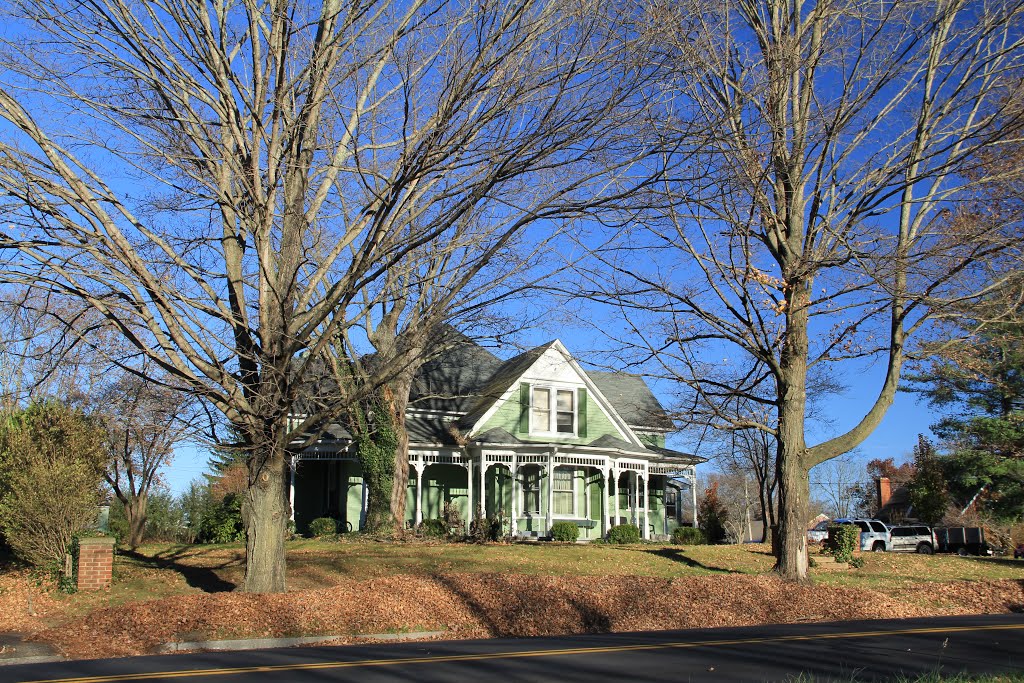 Ornate Green House on on Wadsworth, Radford Virginia by jonmac33