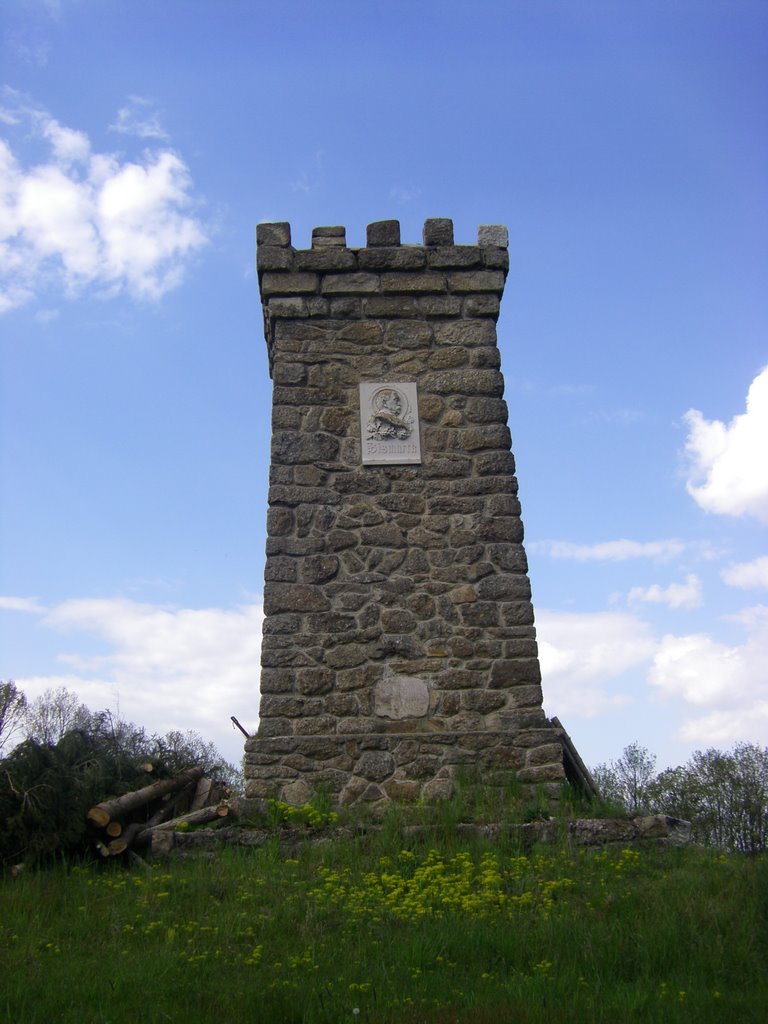 Bismarckturm bei Schloß Rosenau by fightclub76