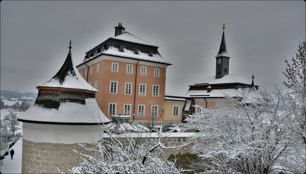 Schloss Seeburg beim Wallersee by Steidl Normann