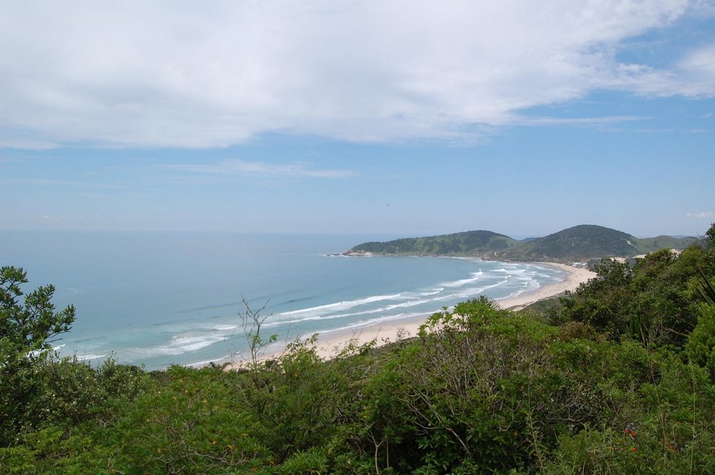 Praia do Rosa by ainterlagos