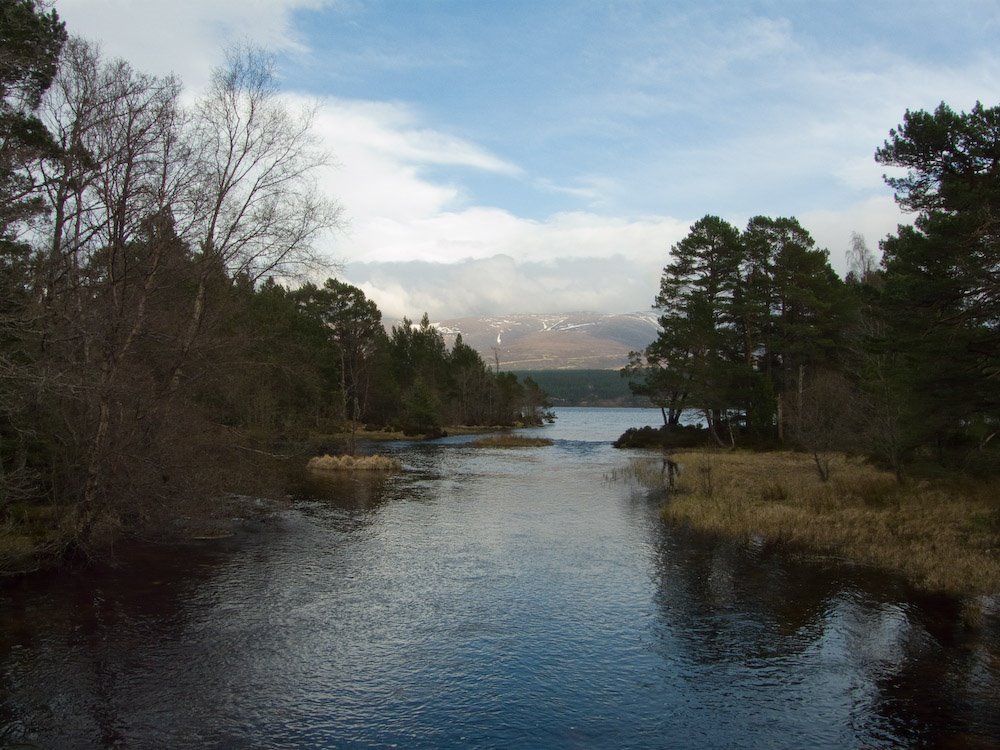 Highland, UK by Valentin Kulikov