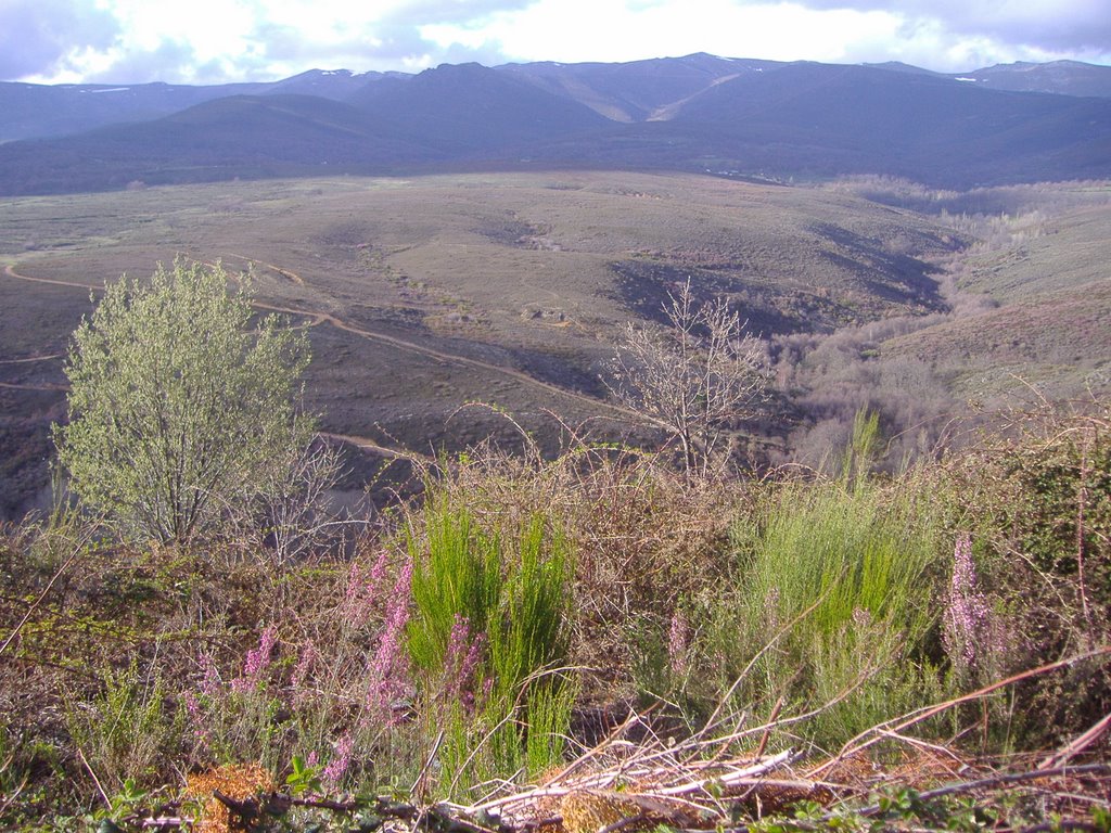 Entre Rozas y San Juan de la Cuesta (Sanabria) by acf-za