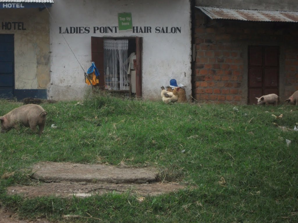 Hair studio Sondu by Martin Hunneman