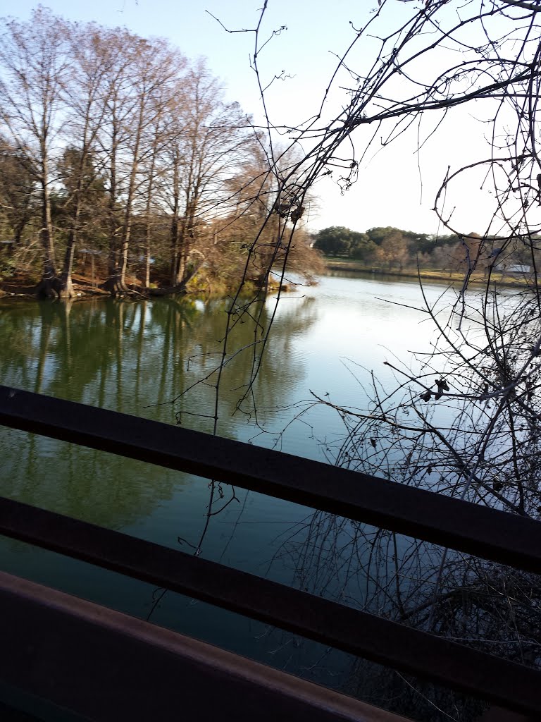 Hike and Bike Trail Bridge 01.20.14 by RememberTheAdamo