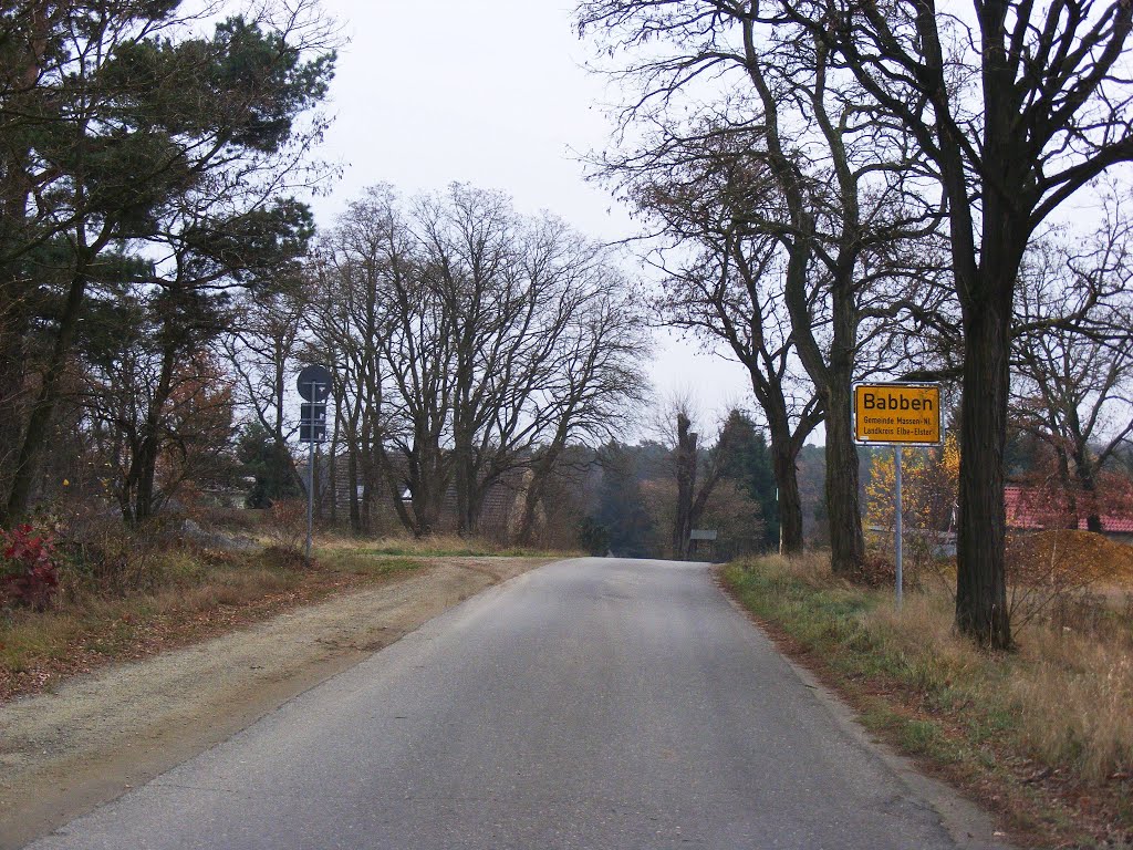 Babben, Niederlausitz, Germany, Ortseingang aus Richtung Crinitz by velthurvik