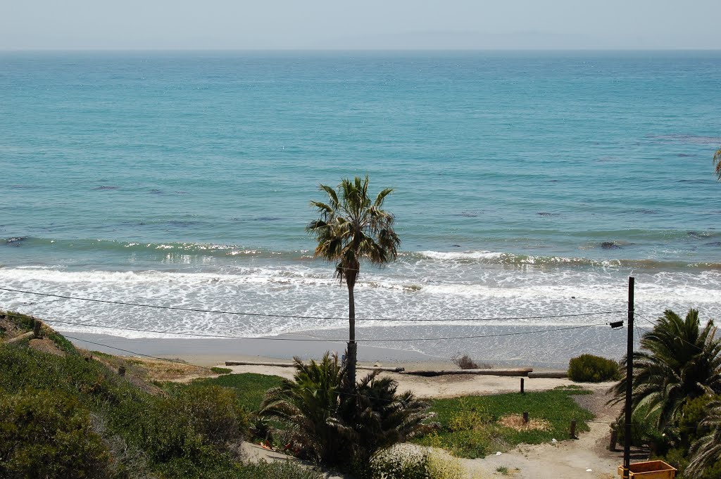 Palos Verdes Coast by Tony Perkins