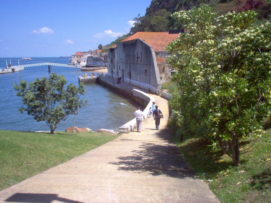 Margem sul do Tejo, jardim junto ao elevador panorâmico. by PaulaEnc