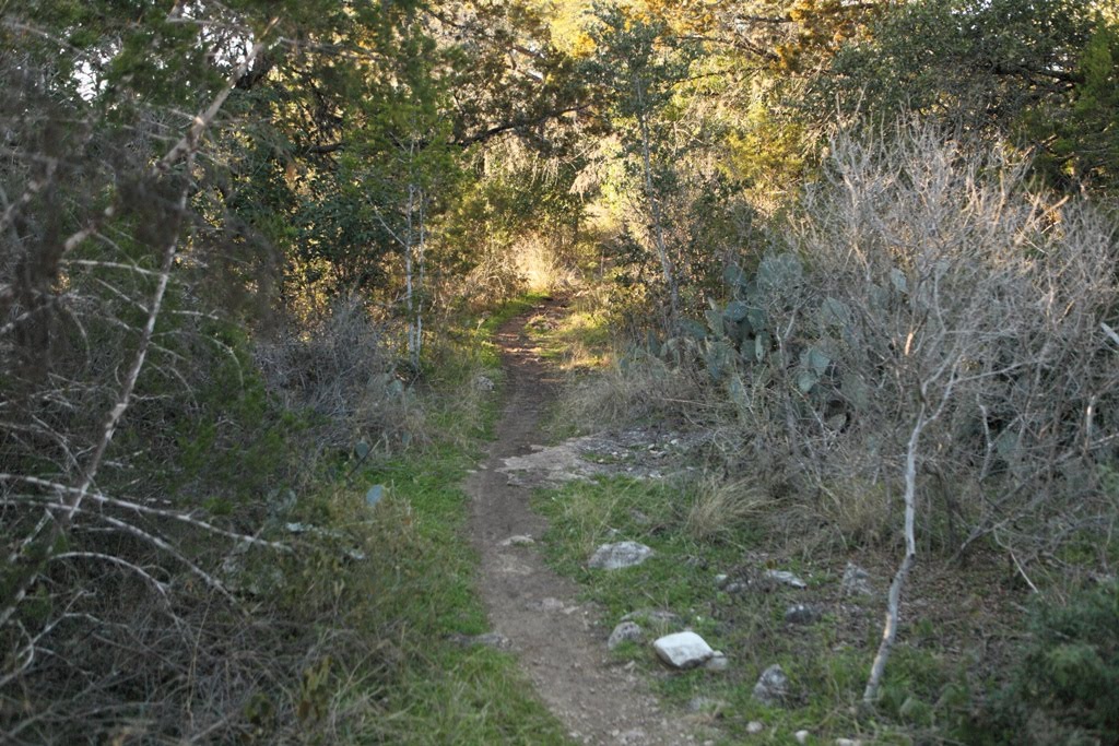 Purgatory Creek Nature Area Trail by wcspiller