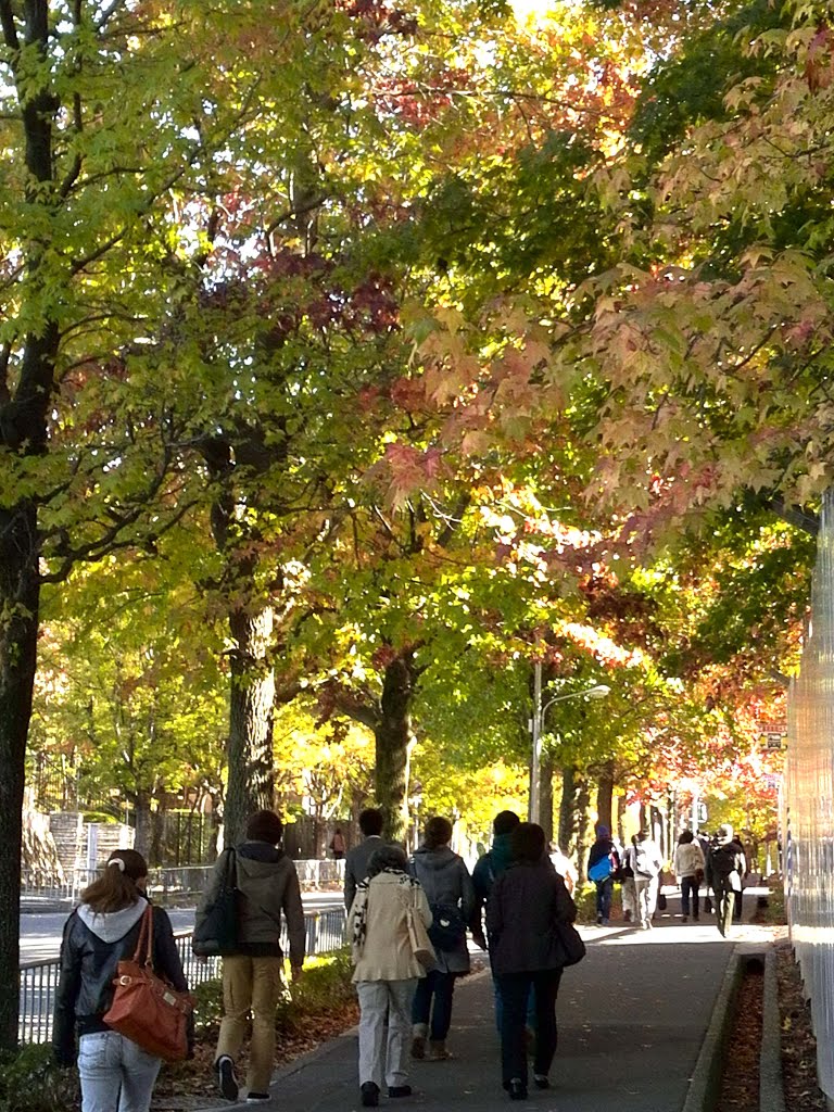 2013.11.13 三色彩道は阪大生の通学路(東向き) by H.Katayama