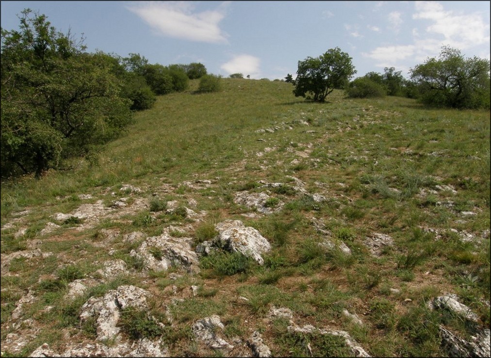 Tropický deň pod Zoborom. (r.2009/OlympusSP560UZ) by Matej Rückschlos Petruf