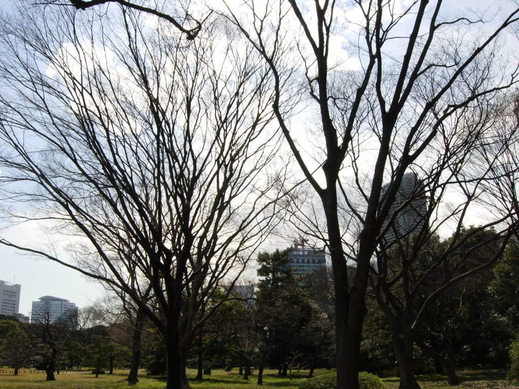 Hamarikyu garden　浜離宮庭園 by butch24h