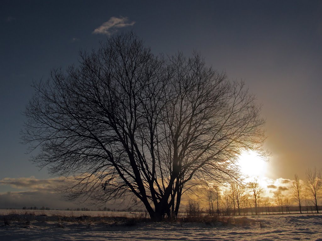 Winter, wie er am schönsten ist by Thomas Ritter