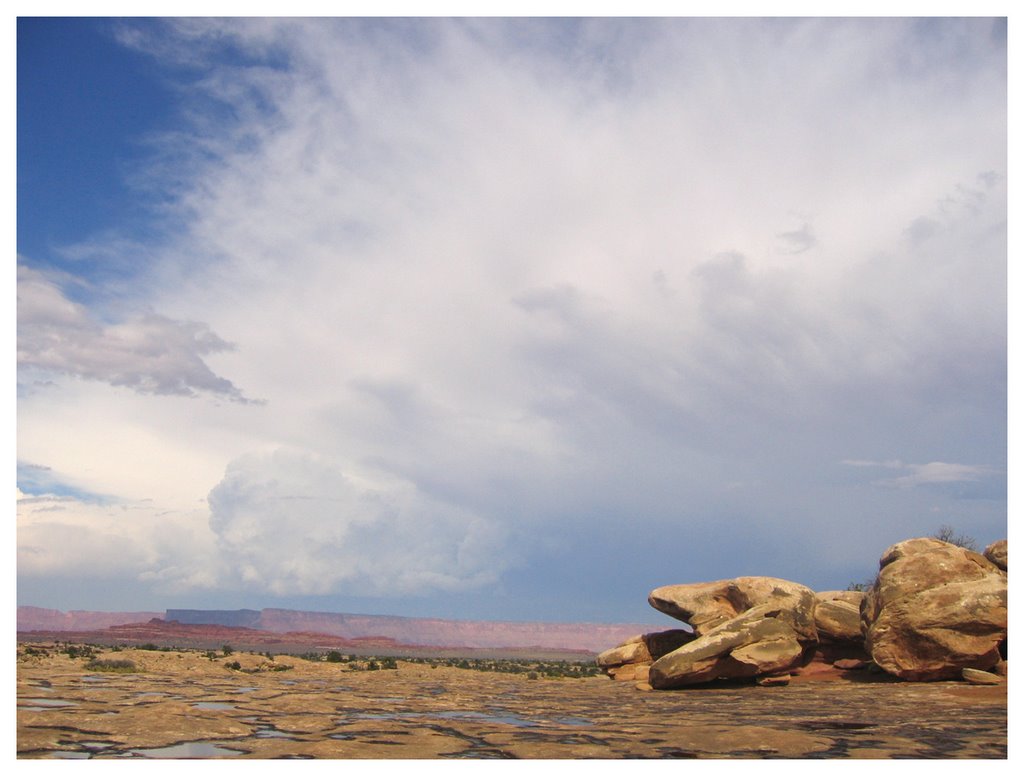 Hiking in the needles, canyonlands, utah by Andrzej S