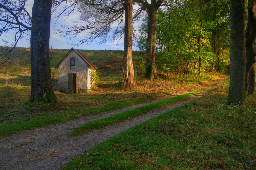 Kaplička v částečně zaniklé osadě Ošerov (dříve Aschergraben, část obce Sedloňov, zánik kolem r. 1950), u cesty do zaniklé osady Víska (dříve Dörfel, část obce Deštné v Orlických horách, zánik kolem r. 1950) by Mirka Schärfnerová