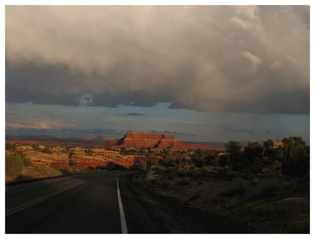 After the storm in the needles, canyonlands, utah by Andrzej Semeniuk