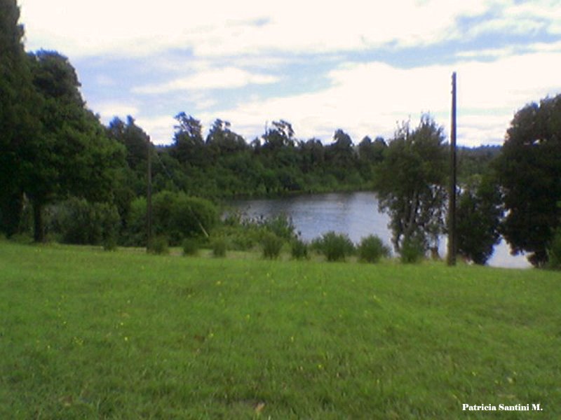 Mirando por la ventana, Lago Puyehue, Regiòn de los Lagos, Chile by Patricia Santini