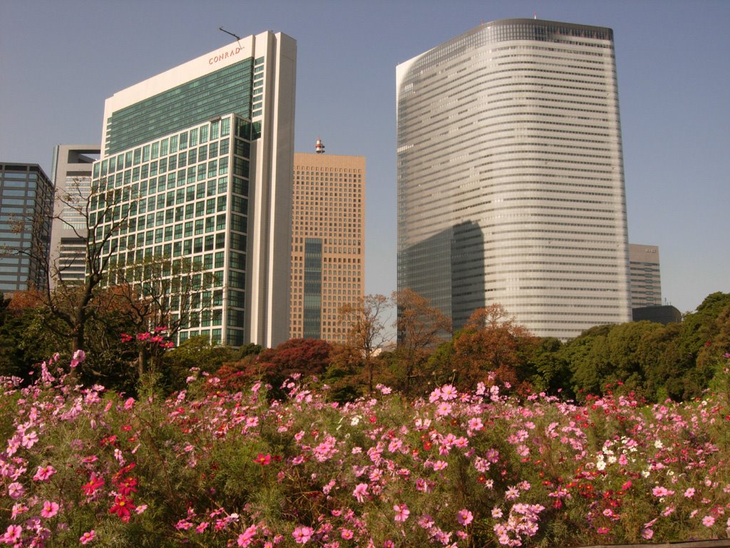 Hamarikyu garden　浜離宮庭園 by butch24h