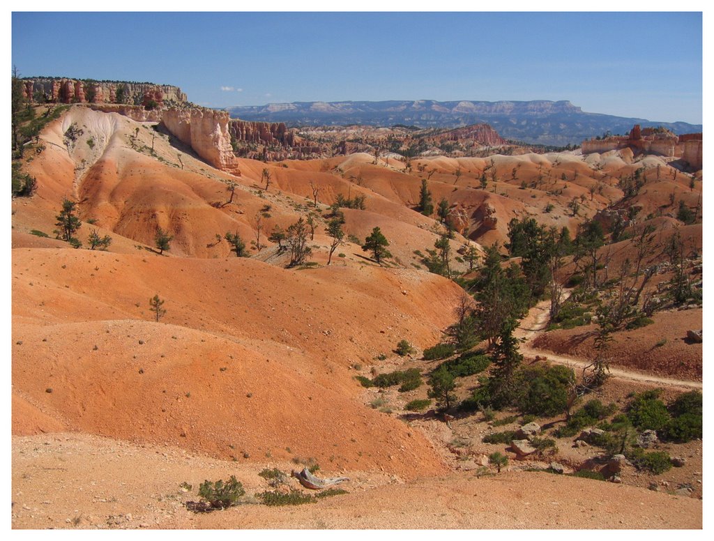 Bryce canyon, ut by Andrzej Semeniuk