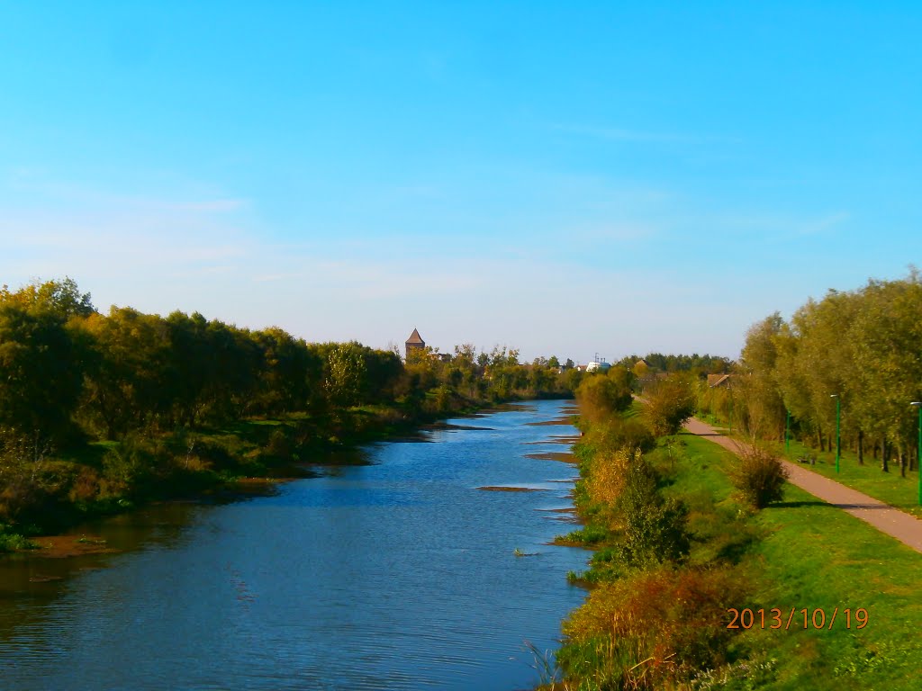 Mostonga kod Bača by Đoka Ćutak