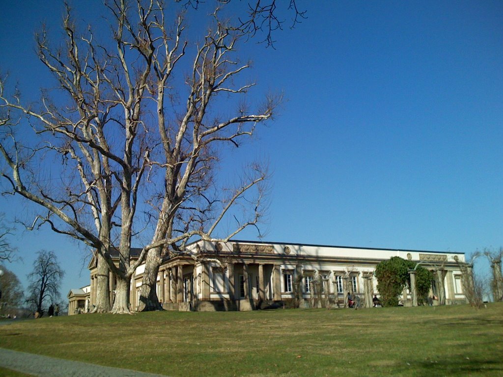 Museum im stadtpark by oliweltweit