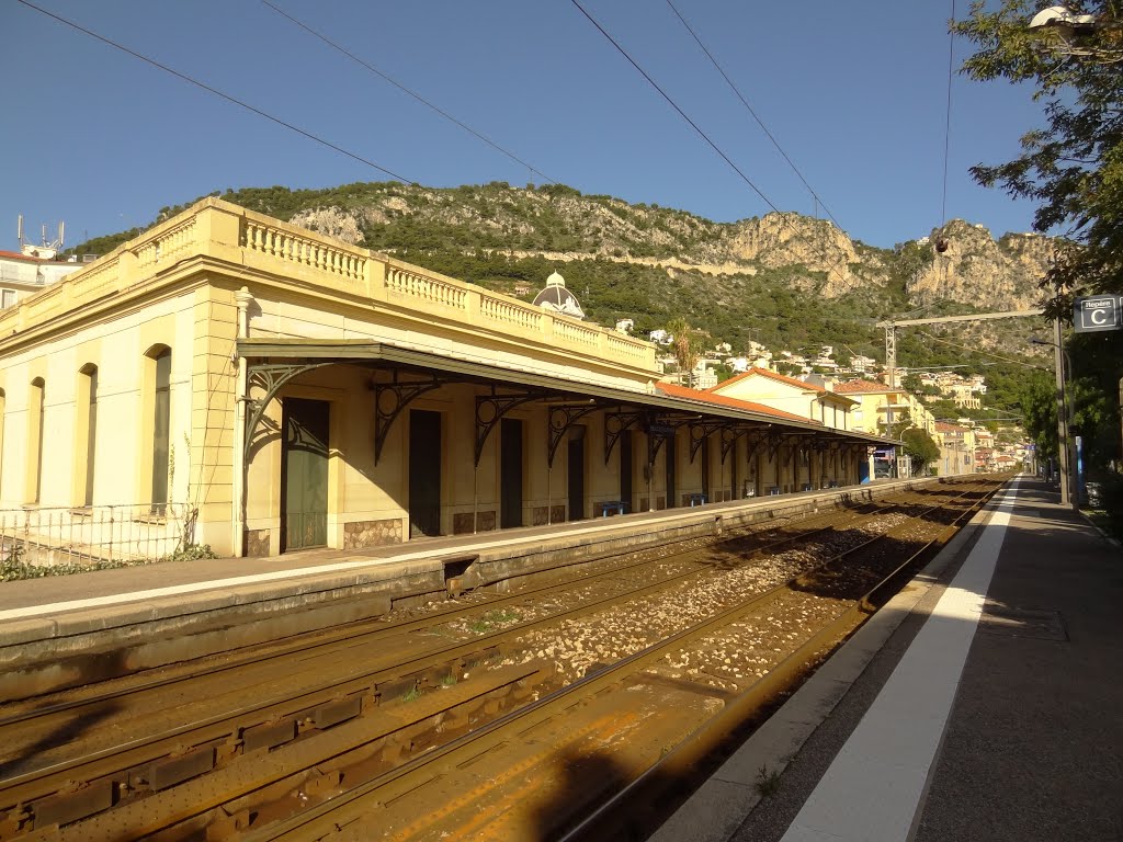 Beaulieu train station by drodske