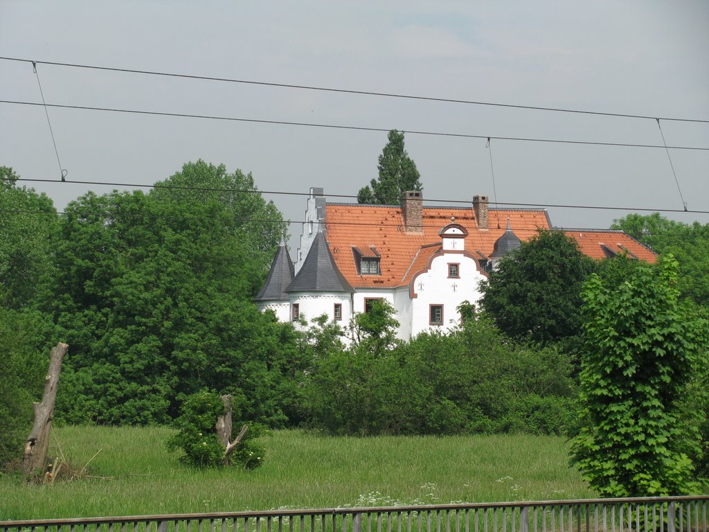 Haus Rath mit 800 Jahre alter Eibe by cherwi