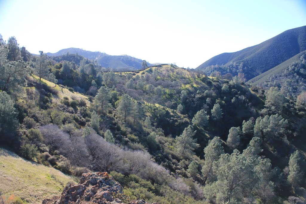 Eagle Peak Trail by Nikki.R