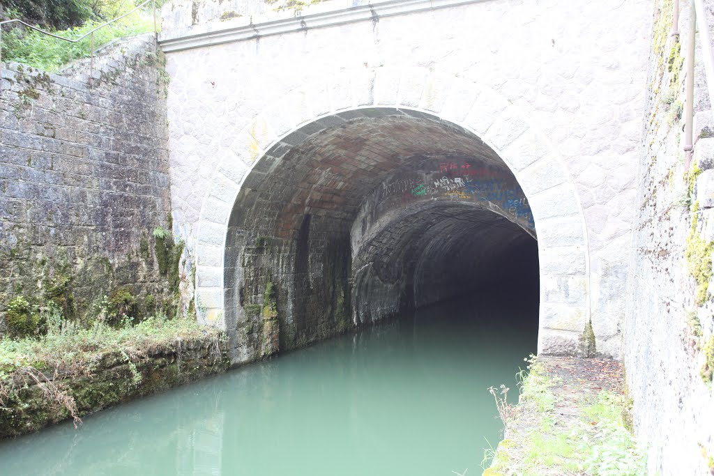 Tunnel Pouilley en Auxois by www.binnenvaartinbeeld.com