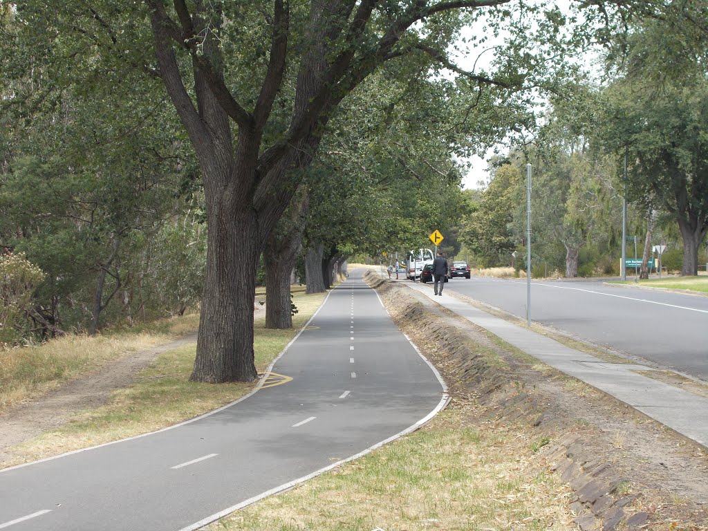 Main Yarra Trail by VICPhotoSurvey