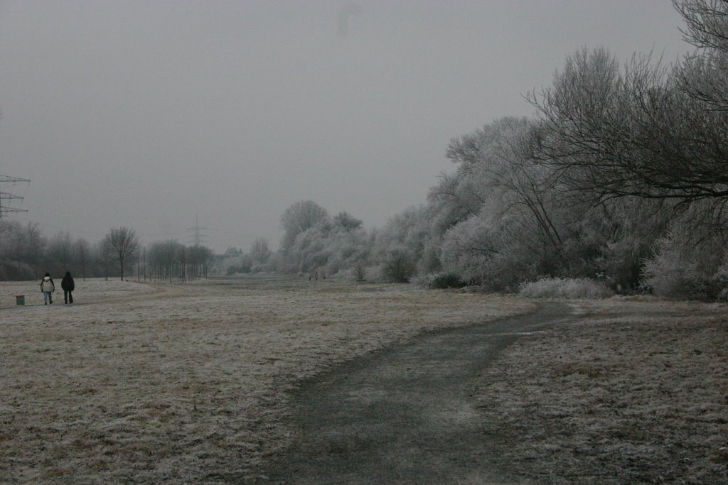 Winterstimmung im Raunheimer Mainvorland by VolkerSeip