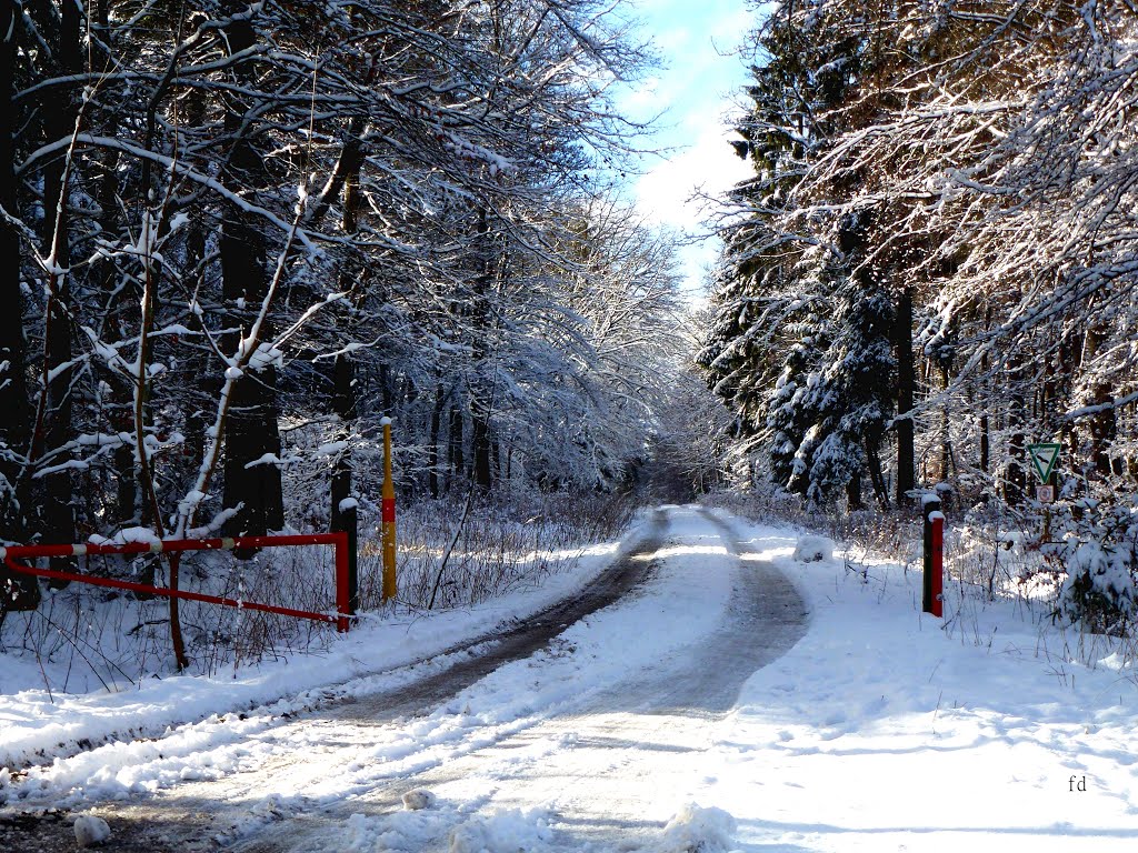 28.1.2014 Plackweg by Friedhelm Dröge