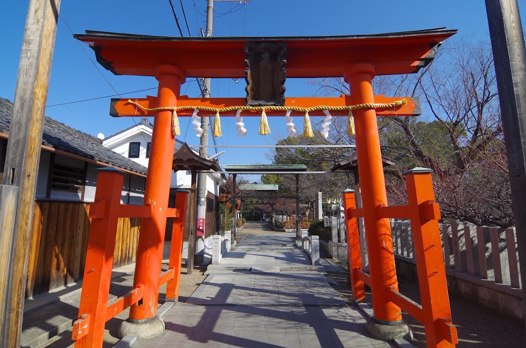 屯倉神社北西の鳥居 松原市三宅中4丁目 2014.1.23 by as365n2