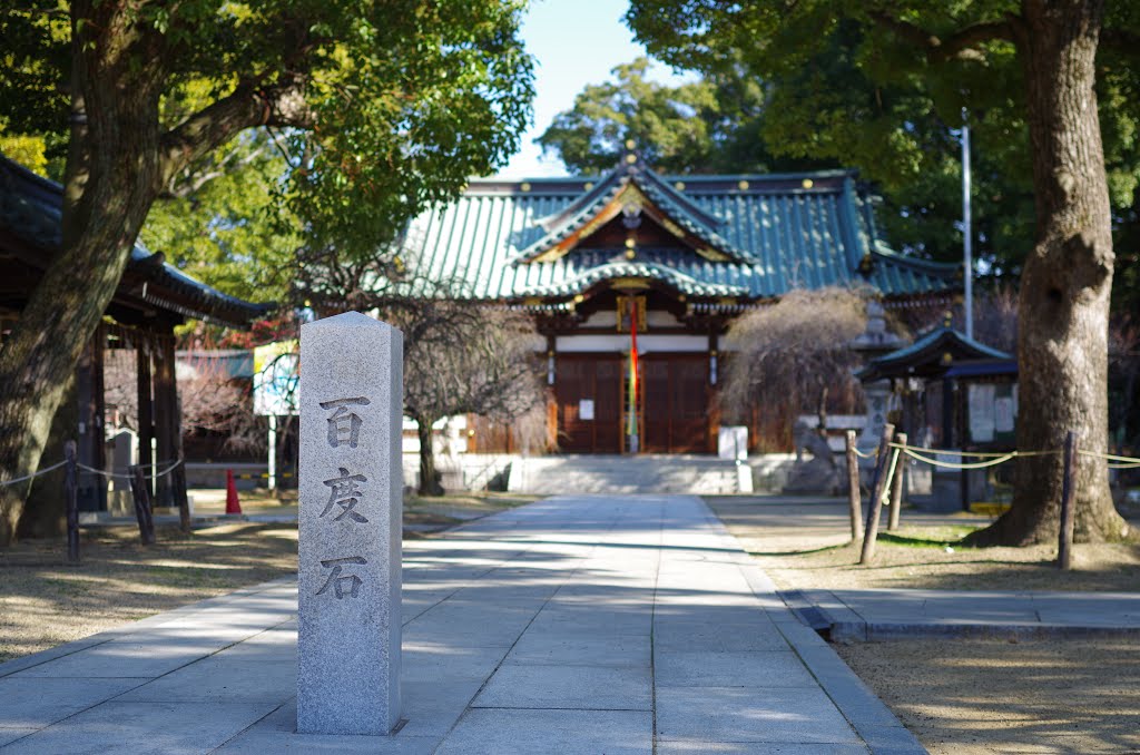 屯倉神社にて 松原市三宅中4丁目 Miyake-jinja 2014.1.23 by as365n2