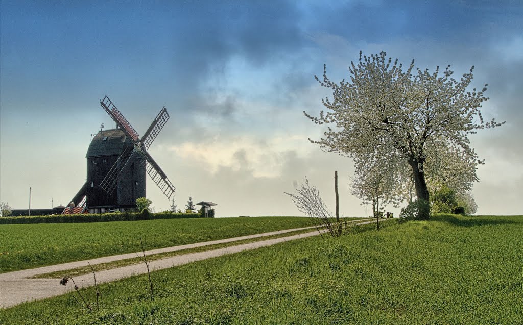 Bockwindmühle Eimersleben by Matthias Pötzsch