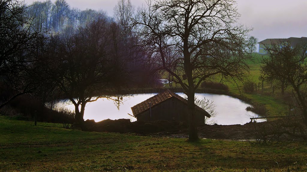 Mayrhof Teich 24.12.2013 by MONTE LEONE