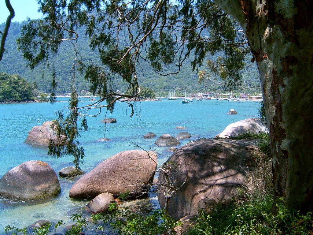 Vista da Enceada do Abraão, Ilha Grande by luiz da fonte david