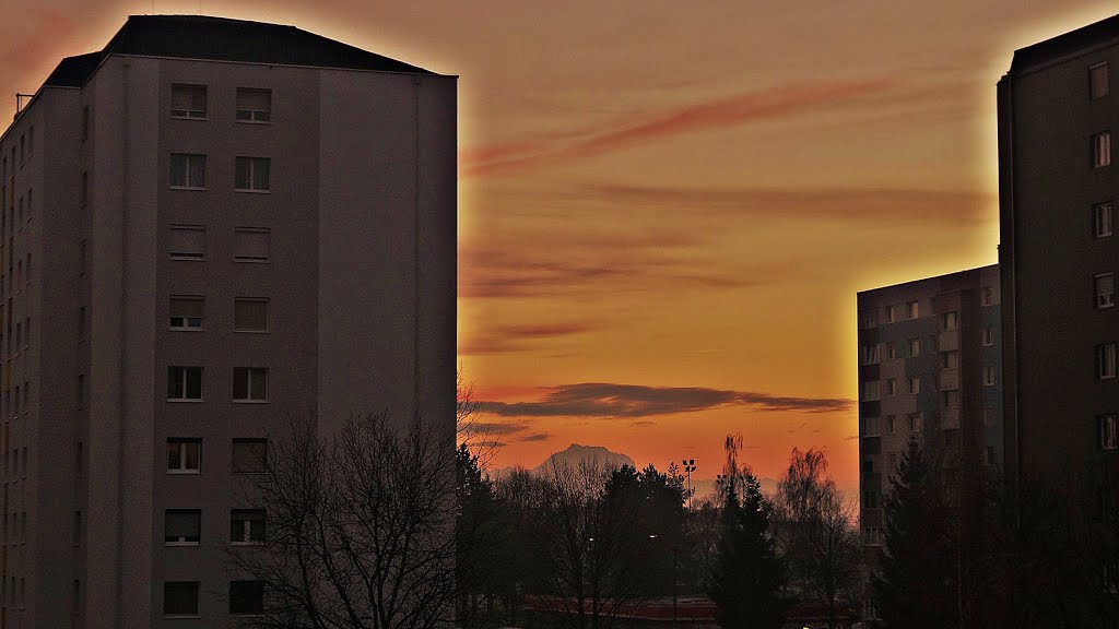 WELS - Gartenstadt mit Traunstein by MONTE LEONE