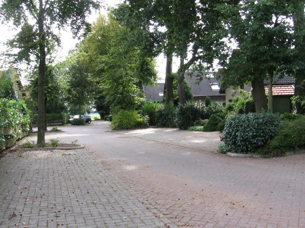 Blick auf die Marienthaler Straße by Michael Kleerbaum