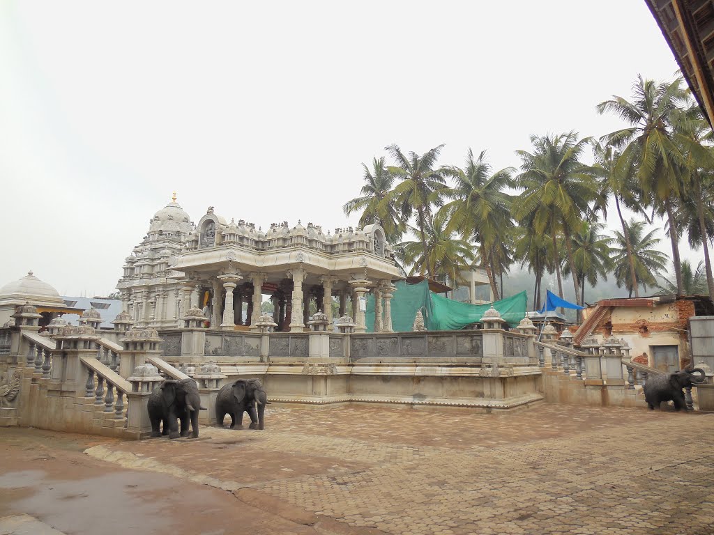 Art in every stone @ Sringeri by happyrakesh