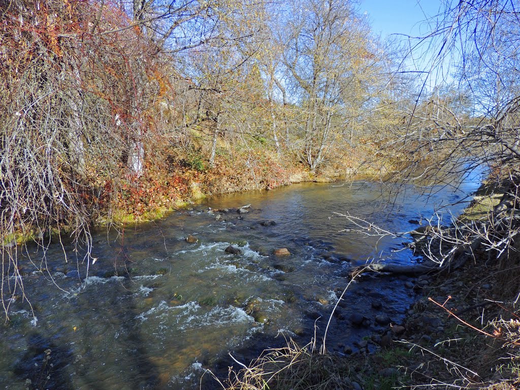 Dry Creek by Steve Schmorleitz, NationalParkLover.com