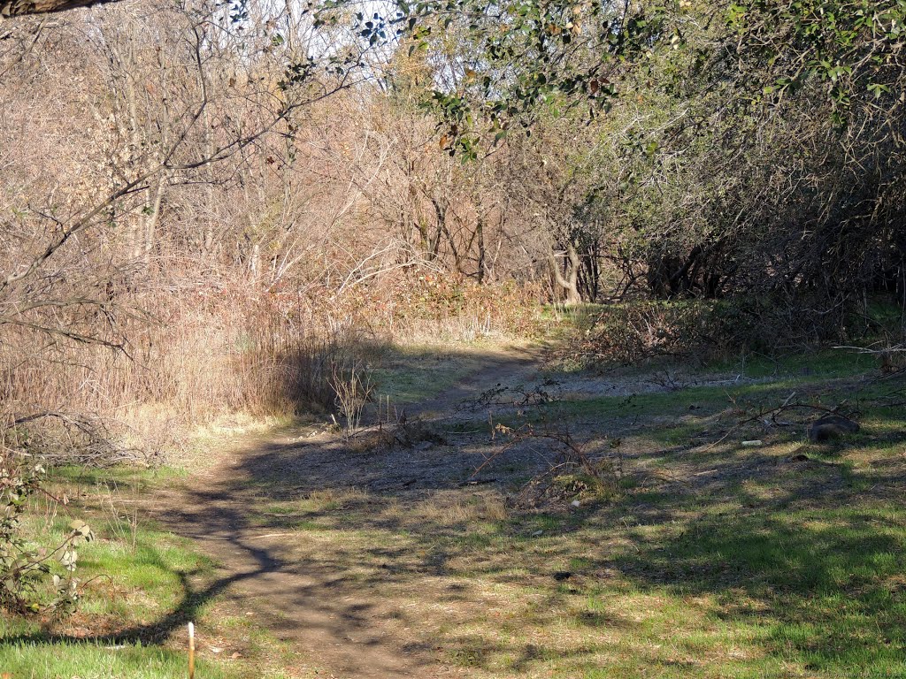 Dry Creek by Steve Schmorleitz, NationalParkLover.com