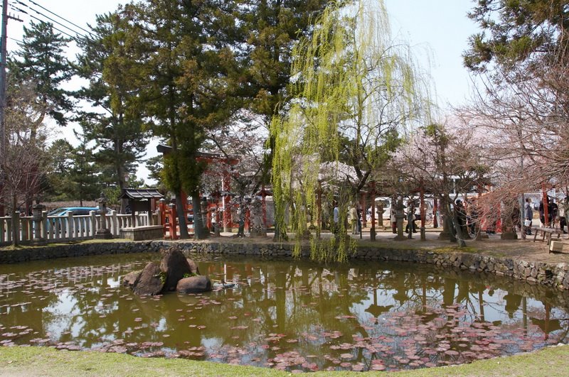 Kasuganocho, Nara, Nara Prefecture 630-8212, Japan by Yuk Ng