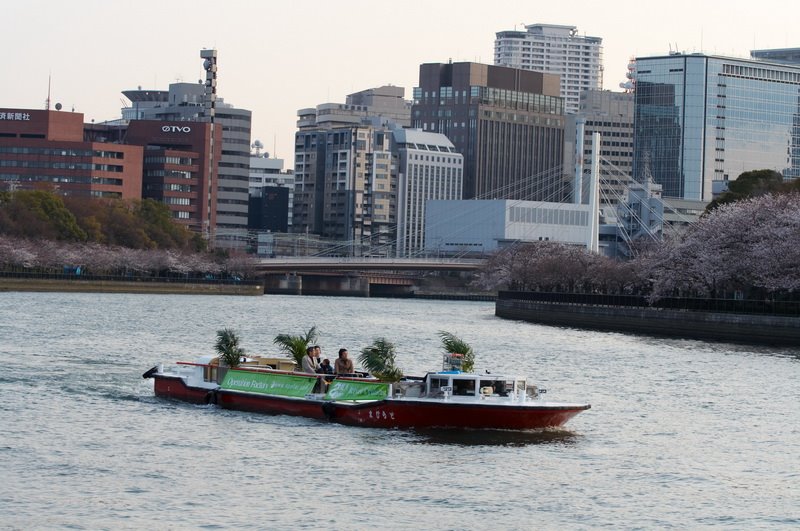 Amijimacho, Miyakojima Ward, Osaka, Osaka Prefecture 534-0026, Japan by Yuk Ng