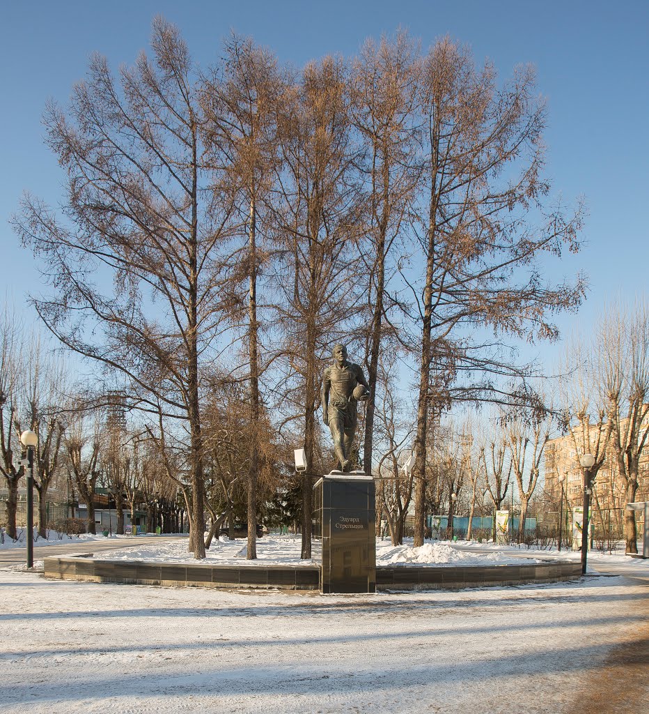 Памятник футболисту Э. А. Стрельцову на стадионе носящем его имя by VLADNES