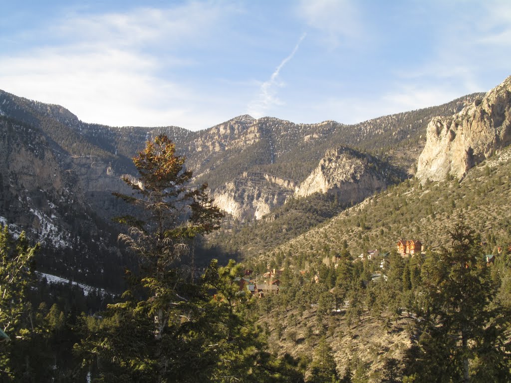 Pine And Steep Mountain Cliffs In The Spring Mountains Near Las Vegas Jan '14 by David Cure-Hryciuk