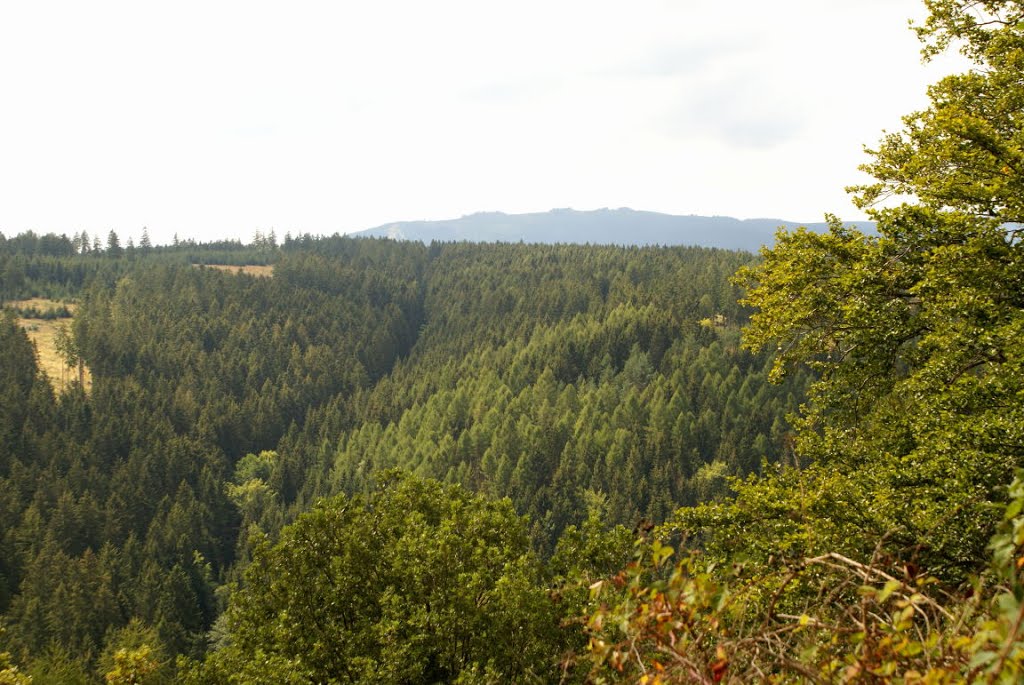 Blick vom Scharfenstein zum Hohnekamm (Harz) by Altmeister