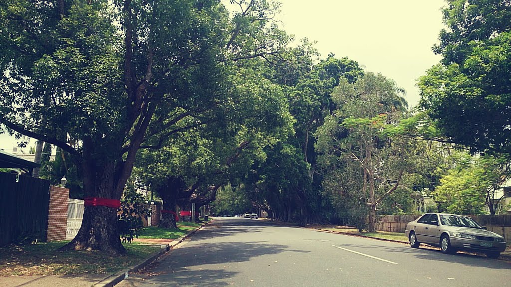 Chelmer / Graceville Streetscape by Graceville Lawyers