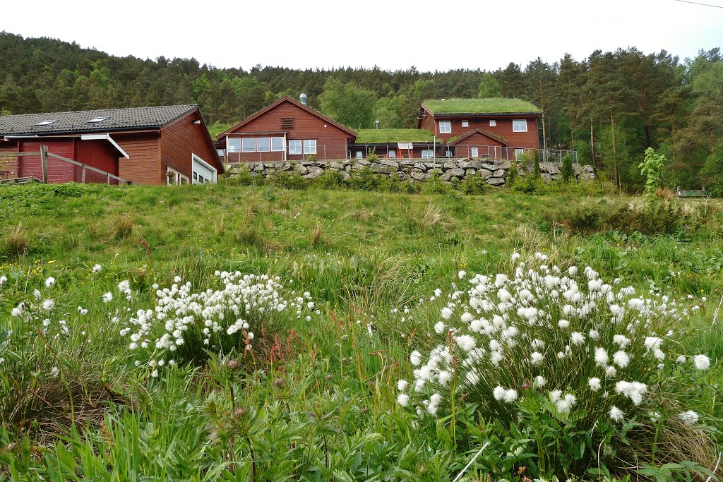 Åsane Gårds- og friluftsbarnehage. by H.Jelstad