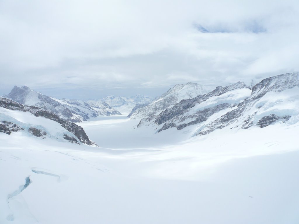 Glaciar visto desde Jungfraujoch by J. R. Tent