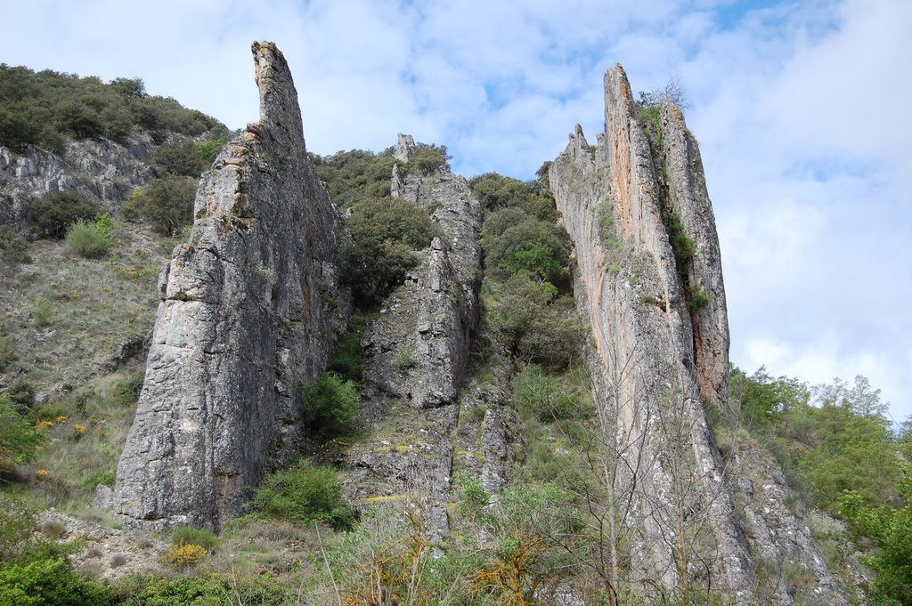 Rocas by José Ibáñez